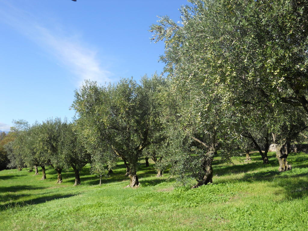 B&B Ca' Morino Verona Exterior foto